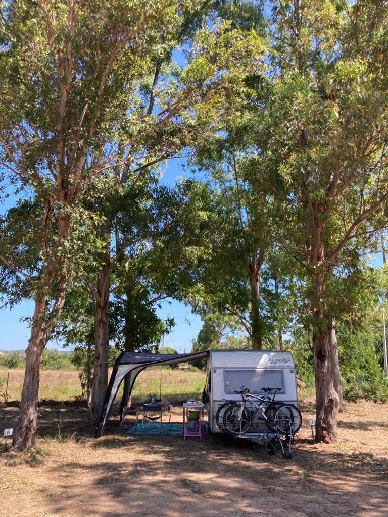 Villaggio Camping Golfo Di Arzachena Cannigione Dış mekan fotoğraf